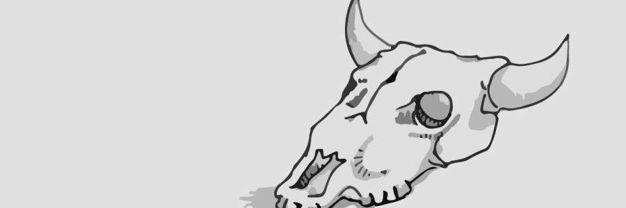Cow Skull Drawing